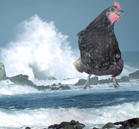 sea-chicken sea chicken pollution image greenprophet green prophet ministry of environmental protection in israel to clamp down on polluters