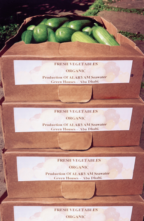 seawater greenhouse organic produce image