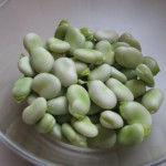 fava broad beans shelled