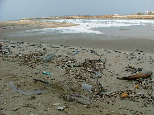 Pollution effects where the Yarkon River meets the Mediterranean Sea