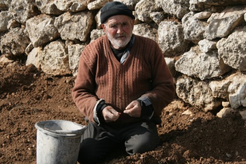farmer-wadi-fuqin eco baladi jerusalem organic market