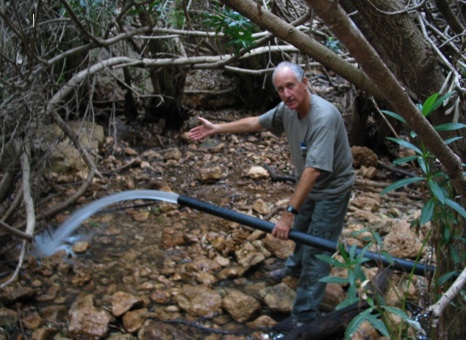 water-israel-streams-photo