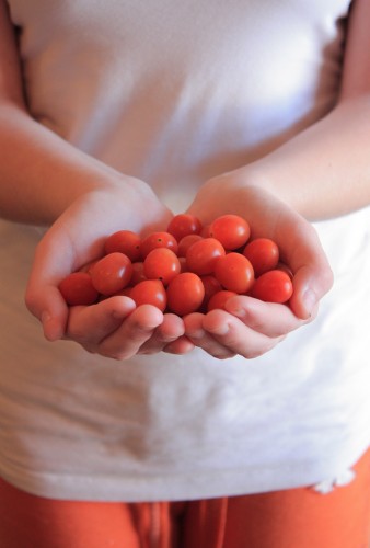 organic-food-debate-green-prophet